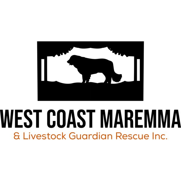 WCMR LogoTransparent File  Thumbnail