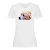 Stedman Ladies Classic Tee Thumbnail